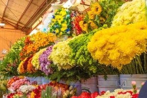 Tour por el Mercado de la Ciudad de México: Comida Tradicional y Murales