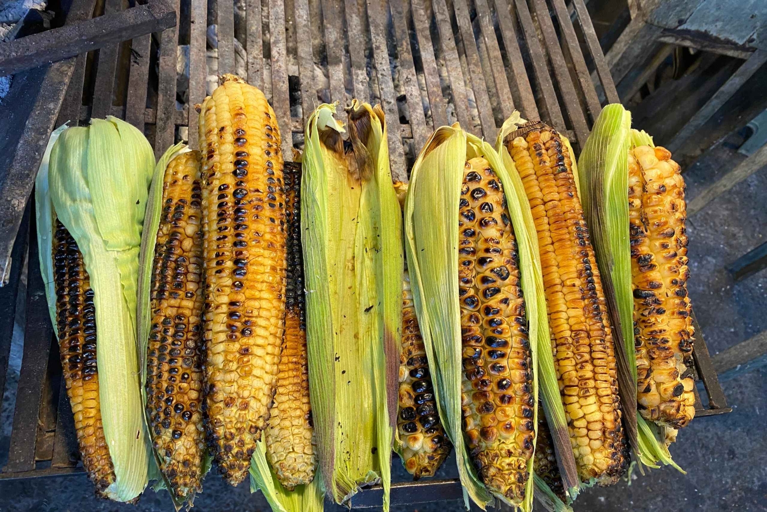 Ciudad de México: tour por los mercados