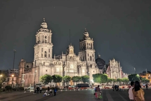 Mexico City: Metropolitan Cathedral Guided Tour With Pickup