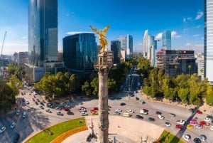 Ciudad de México: Tour de la ciudad