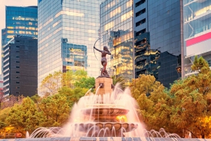 Ciudad de México: Tour de la ciudad