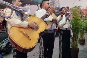 Mexico City: Mexican Evening, Lucha Libre and Tequila