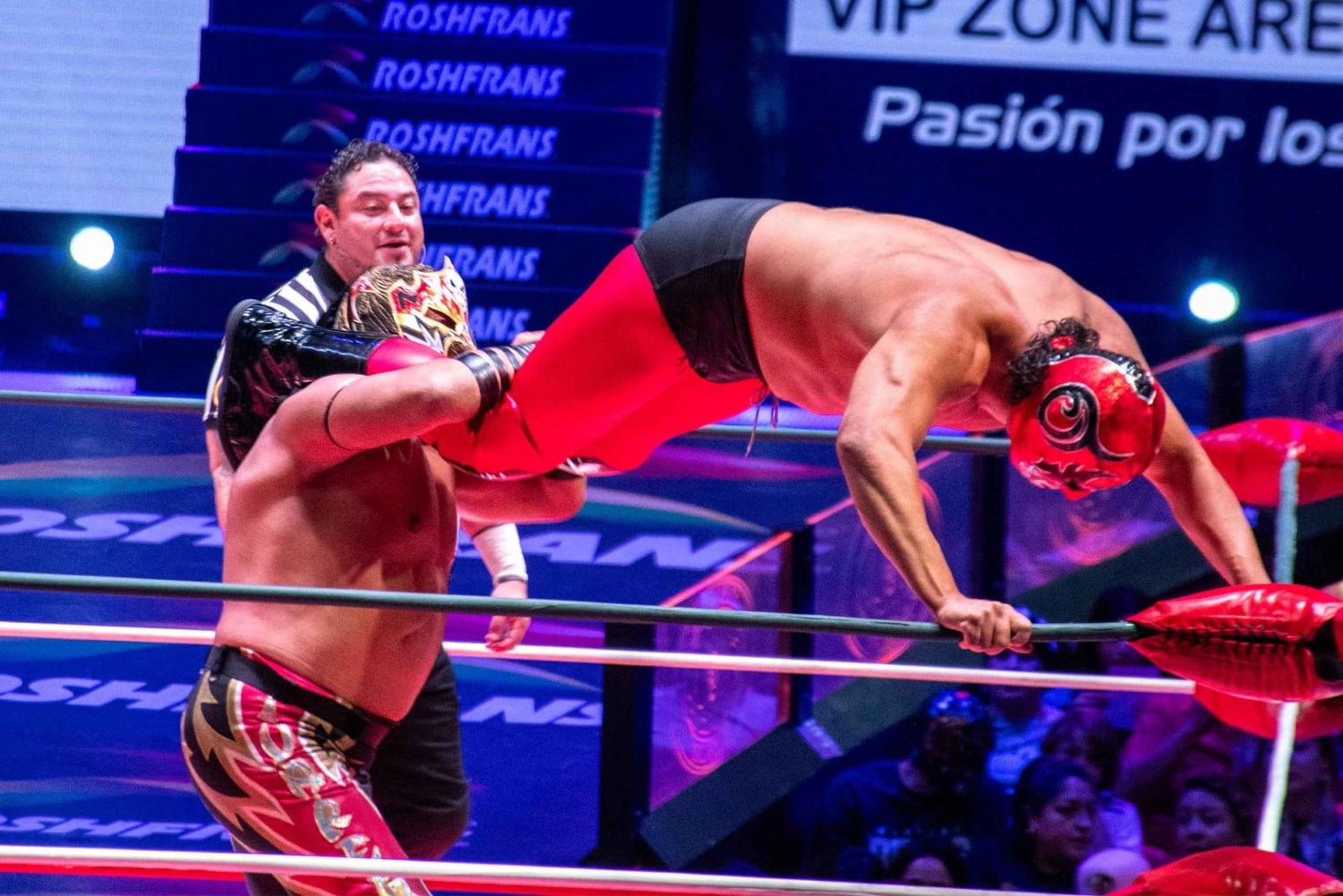 Mexico City: Mexican Lucha Libre Experience & Mezcal Tasting