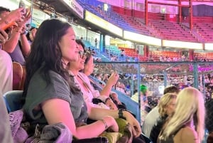 Mexico City: Mexican Lucha Libre Experience & Mezcal Tasting