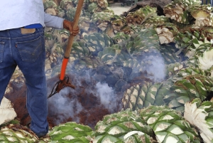 Ciudad de México: Cata de Mezcal y Visita al Mercado con Comida