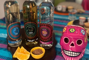 Mexico City: Mezcal Tasting Experience