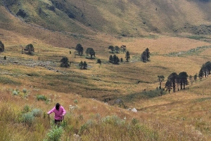 Mexico City: Mipulco Waterfalls Private Trekking Tour