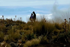 Mexico City: Mipulco Waterfalls Private Trekking Tour