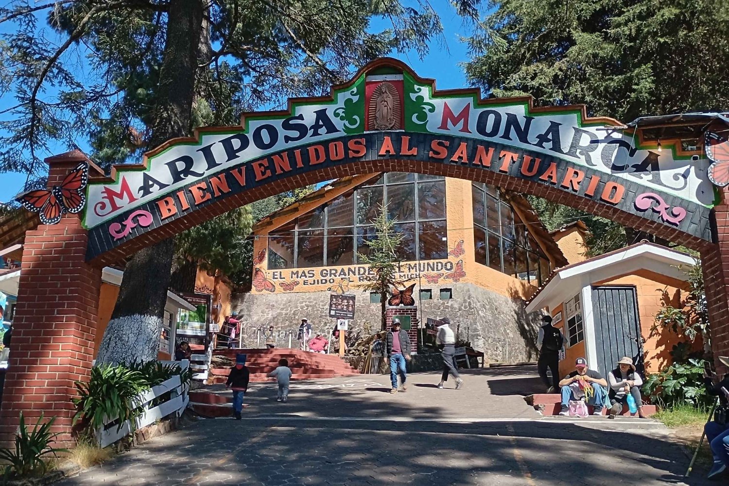Ciudad de México: visita al santuario de la mariposa monarca con traslado
