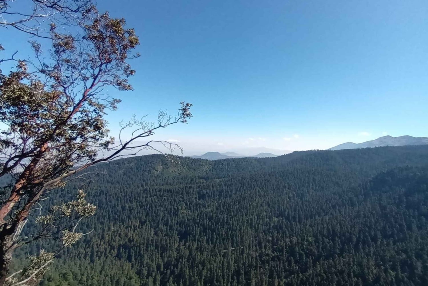 Ciudad de México: Senderismo Matutino en el Mirador Coconetla