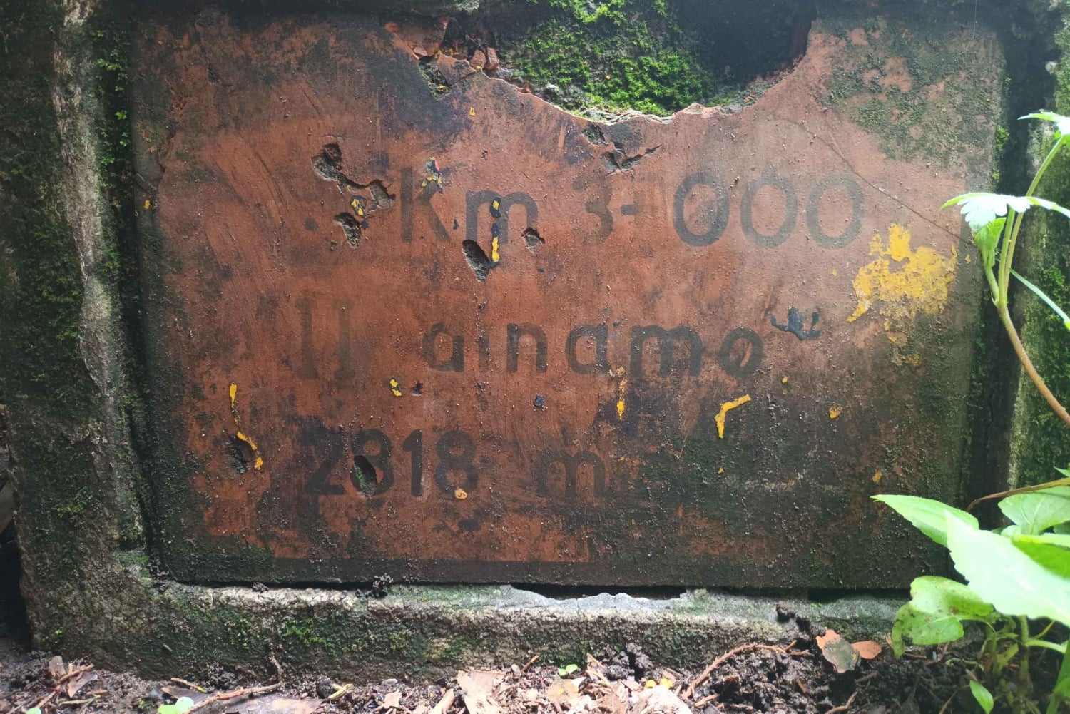 Ciudad de México: Senderismo Matutino en el Mirador Coconetla