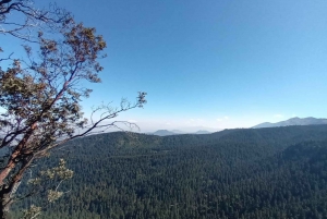 Ciudad de México: Senderismo Matutino en el Mirador Coconetla