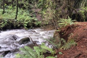 Ciudad de México: Senderismo Matutino en el Mirador Coconetla
