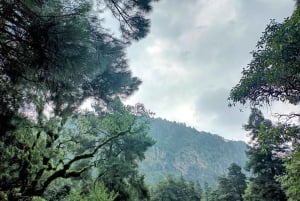 Ciudad de México: Senderismo Matutino en el Mirador Coconetla