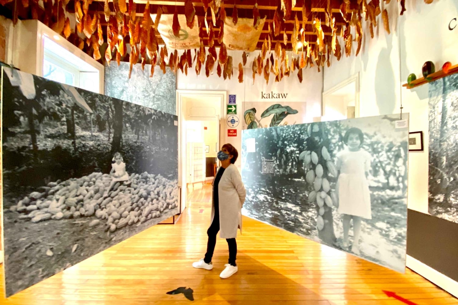Ciudad de México: entrada al museo del chocolate MUCHO