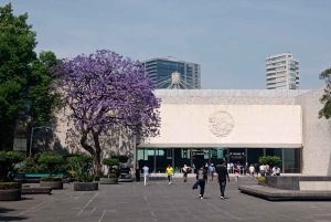 Mexico City: Museum of Anthropology and Chapultepec Castle