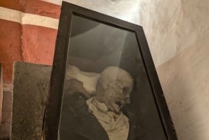 Mexico City: Museum of El Carmen Tour with Ticket