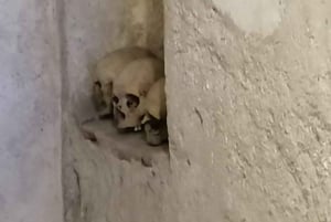 Mexico City: Museum of El Carmen Tour with Ticket