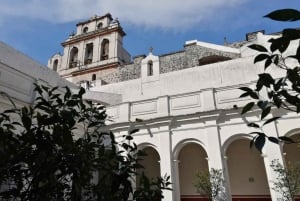 Mexico City: Museum of El Carmen Tour with Ticket