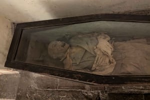 Ciudad de México: Visita al Museo del Carmen con Entrada