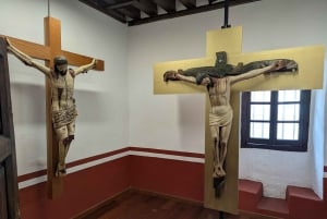 Ciudad de México: Visita al Museo del Carmen con Entrada