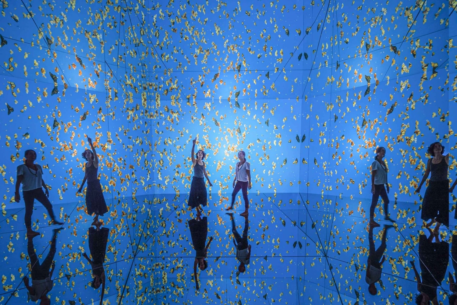 Mexico City: 'Mystika'. Relaxation experience.