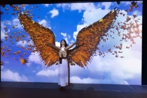 Mexico City: 'Mystika'. Relaxation experience.