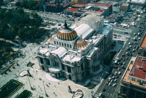 Mexico City: Neighborhoods Contrasts Tour with Guide