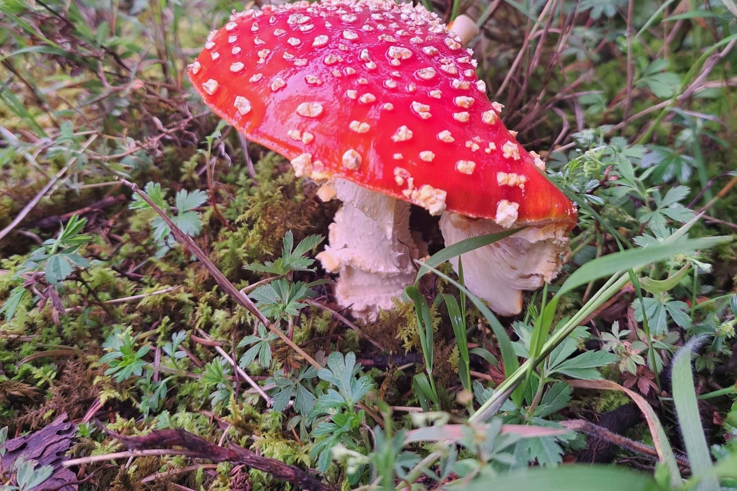 Mexico City: Nexcolango Lagoons Private Hiking Tour