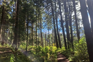 Mexico City: Nexcolango Lagoons Private Hiking Tour