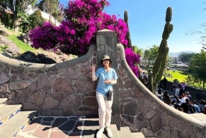 Mexico City: Our Lady of Guadalupe Basilica Guided Tour