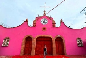 Mexico City: Private Art and Culture Tour