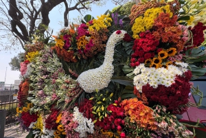 Mexico City: Private Art and Culture Tour