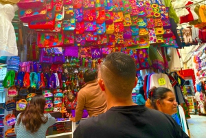 Mexico City: Private Art and Culture Tour