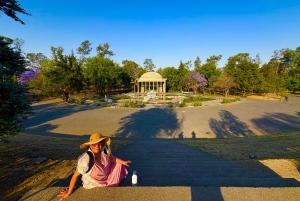 Mexico City: Private Art and Culture Tour