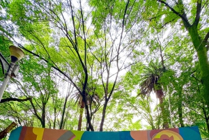 Mexico City: Private Art and Culture Tour