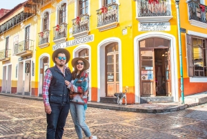 Tour Privado de los Prismas Basálticos de Ciudad de México: Fuentes Mágicas