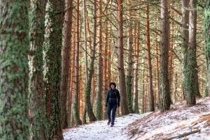 Tour Privado de los Prismas Basálticos de Ciudad de México: Fuentes Mágicas