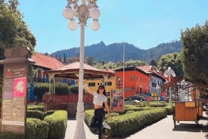 Tour Privado de los Prismas Basálticos de Ciudad de México: Fuentes Mágicas