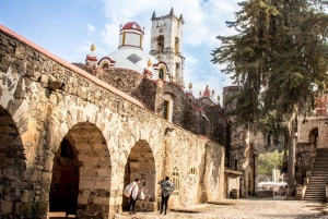 Tour Privado de los Prismas Basálticos de Ciudad de México: Fuentes Mágicas