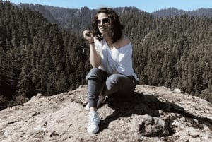 Mexico City Private Basaltic Prisms Tour: Magical Fountains