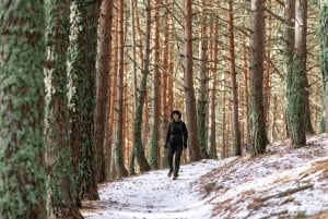 Mexico City Private Basaltic Prisms Tour: Magical Fountains