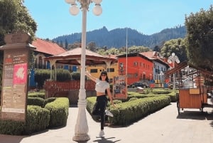 Mexico City Private Basaltic Prisms Tour: Magical Fountains