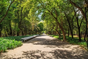 Mexico City: Private Bike Tour of Chapultepec Forest