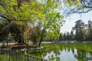 Mexico City: Private Chapultepec Park Bike Tour