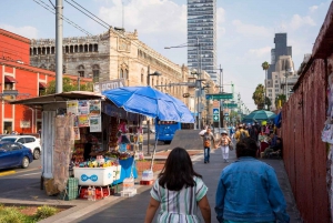 Tour Privado de Chapultepec en Ciudad de México: El Castillo Mágico