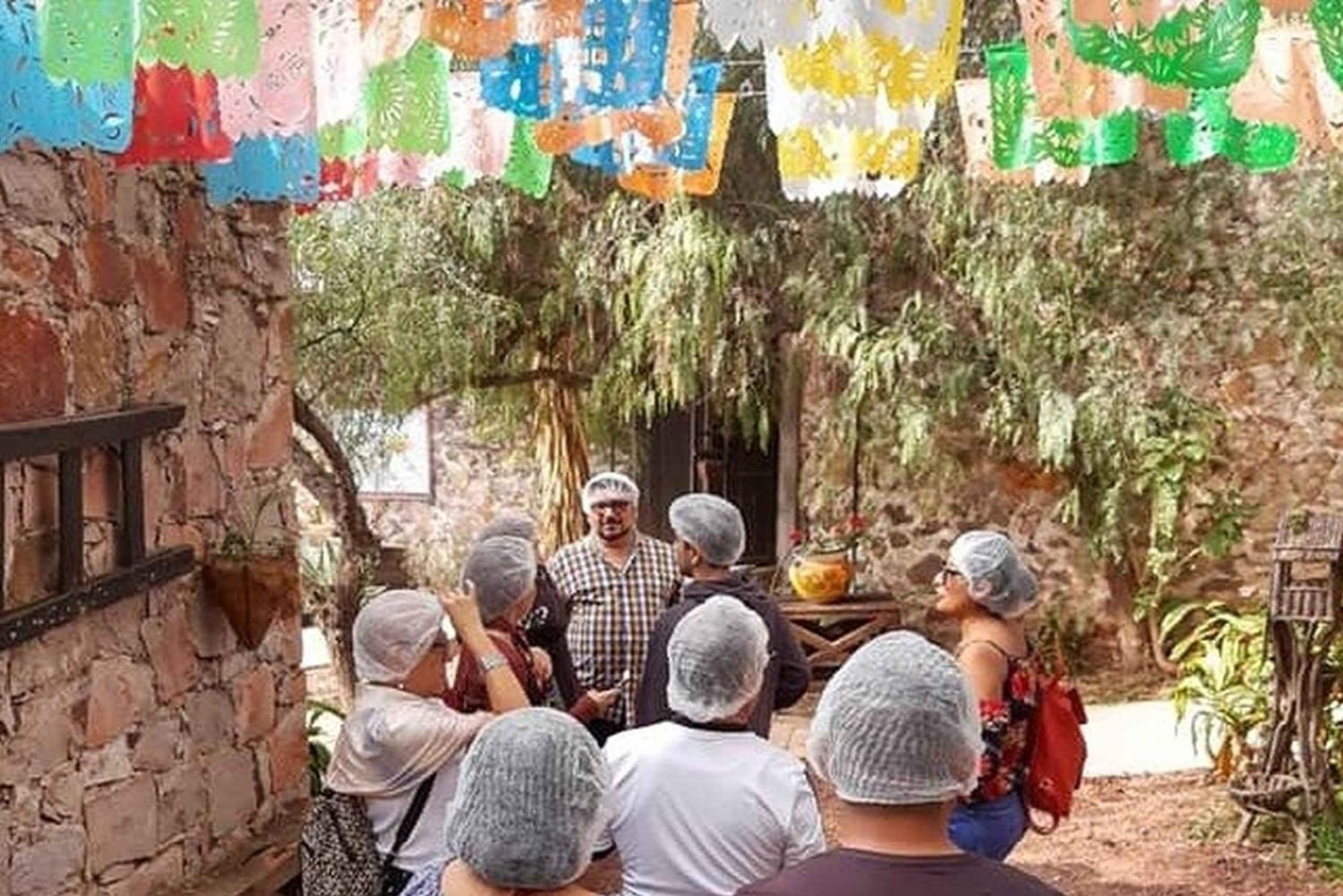 Ciudad de México: tour privado de quesos y vinos a Querétaro