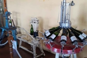 Ciudad de México: tour privado de quesos y vinos a Querétaro