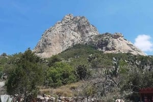 Ciudad de México: tour privado de quesos y vinos a Querétaro