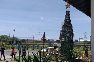 Ciudad de México: tour privado de quesos y vinos a Querétaro